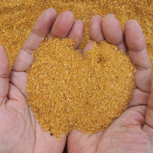 Animal food in hands